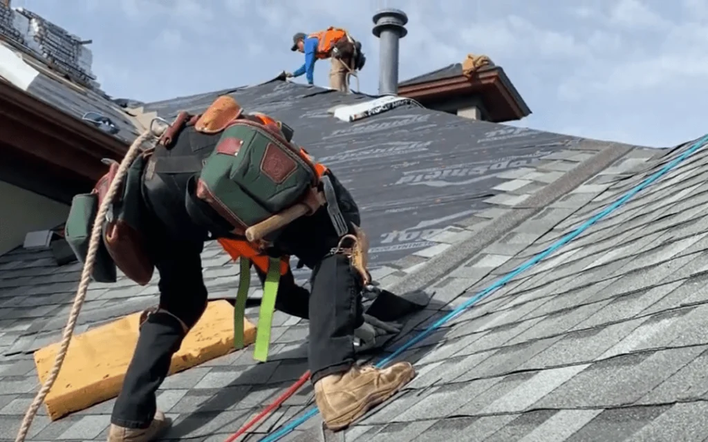Roof Replacement
