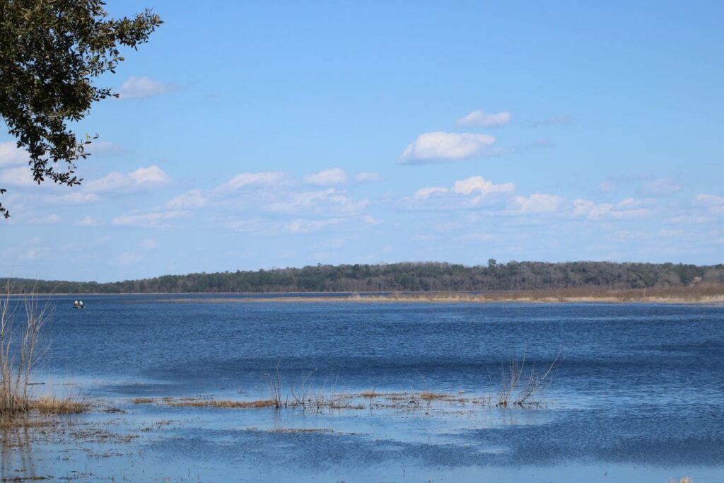 Lake Jackson