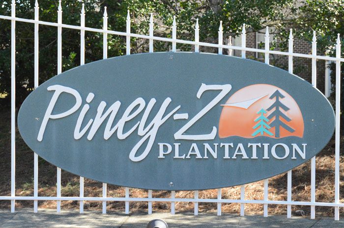 Piney Z